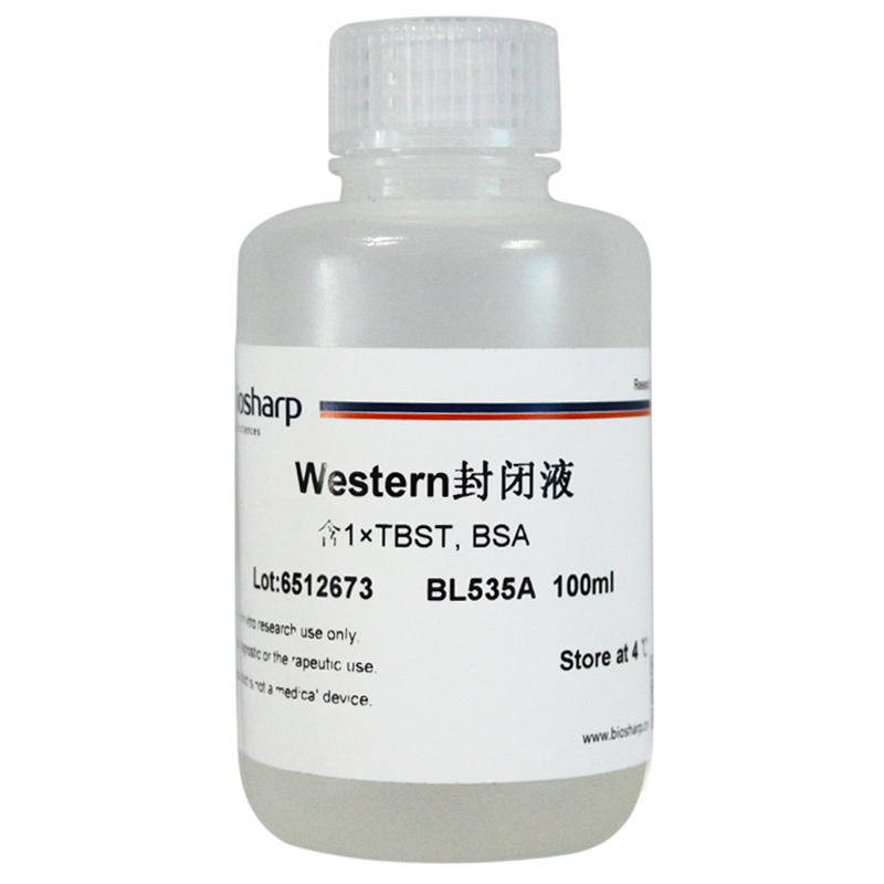 Western封闭液 biosharp实验室专用